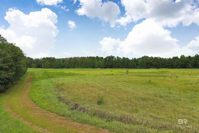 view of landscape with a rural view and a forest view