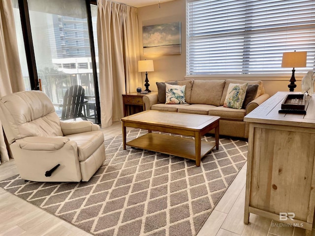 living area featuring wood finished floors