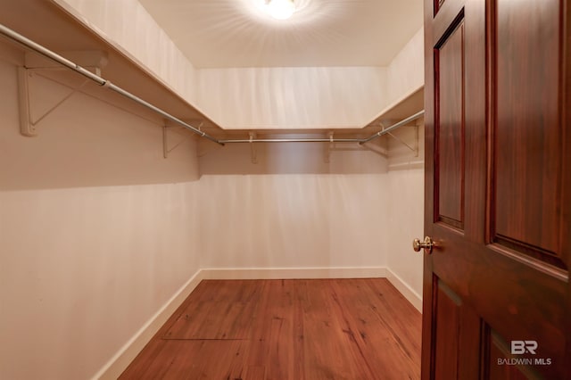 walk in closet featuring light hardwood / wood-style floors