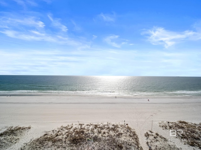 327 E Beach Blvd Unit 7C, Gulf Shores, AL 36542 - water view featuring nearby beach