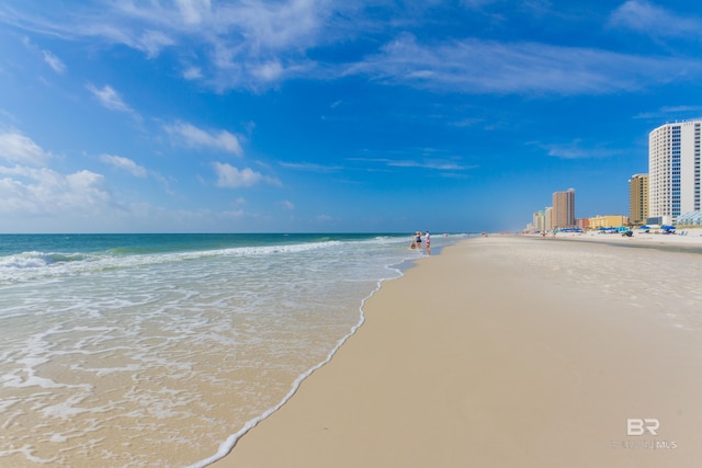 water view featuring a beach view