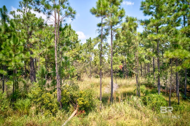 00 Lakeshore Dr, Gulf Shores AL, 36542 land for sale