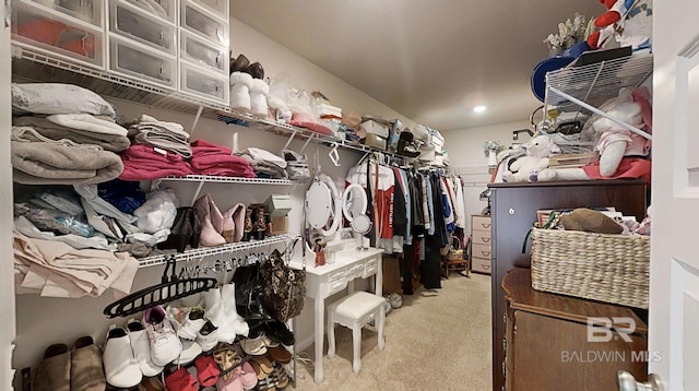 spacious closet with carpet