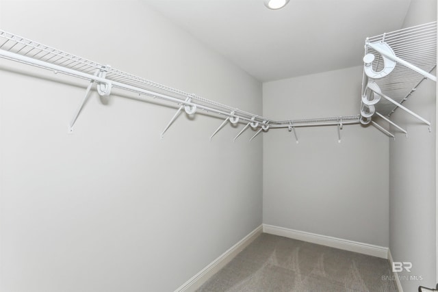 5885 Grotto Ave, Pensacola, FL 32507 - walk in closet with carpet