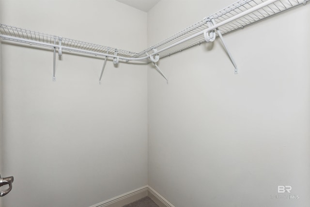 5885 Grotto Ave, Pensacola, FL 32507 - view of spacious closet