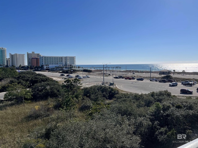 25805 Perdido Beach Blvd Unit 419, Orange Beach, AL 36561 - birds eye view of property featuring a water view