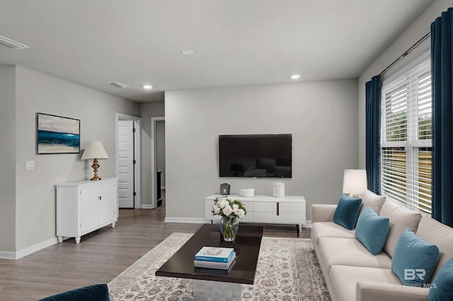 living room with hardwood / wood-style flooring