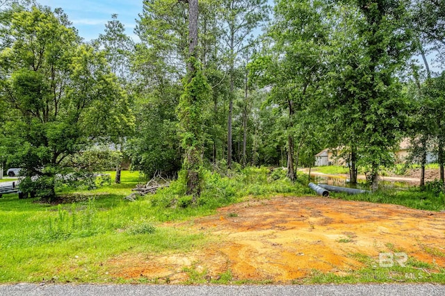 17677RIVERRD W River Rd, Summerdale AL, 36580 land for sale