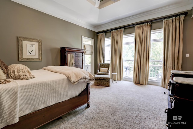 bedroom featuring multiple windows, carpet, and ornamental molding