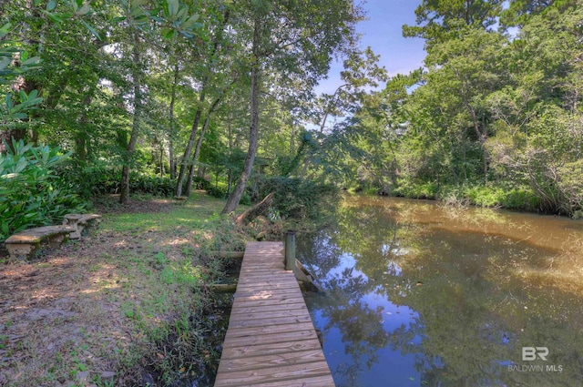 dock area with a water view