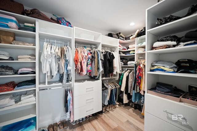 30531 Ono N Loop W, Orange Beach, AL 36561 - walk in closet with wood finished floors
