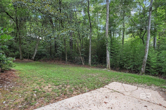 169 Buena Vista Dr, Daphne, AL 36526 - view of grassy yard featuring a forest view