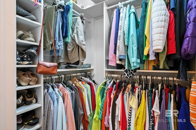 view of walk in closet