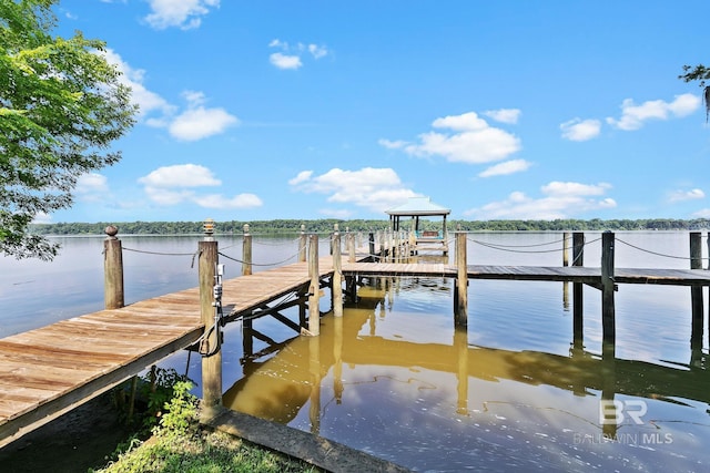 dock area with a water view