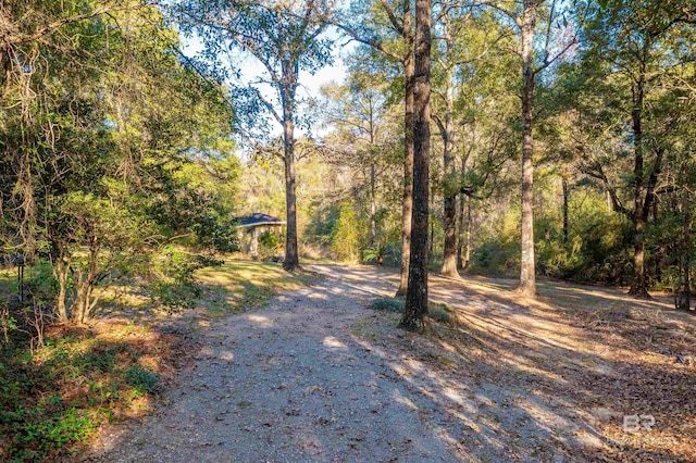3340 Deer Track Dr, Semmes, AL 36575 - view of road featuring a wooded view