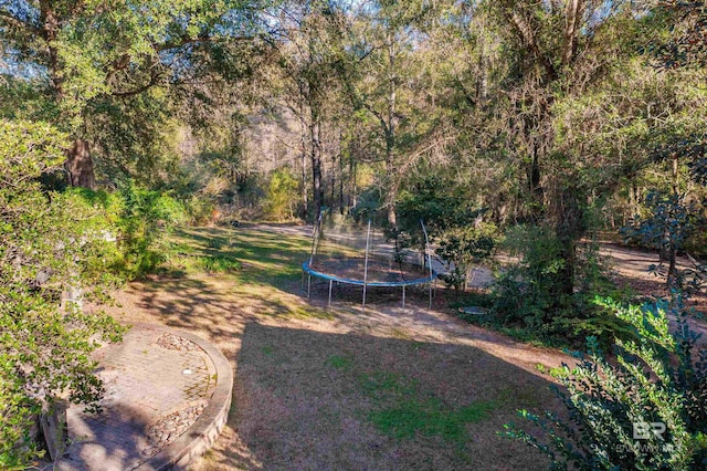 3340 Deer Track Dr, Semmes, AL 36575 - view of grassy yard with a trampoline and a forest view