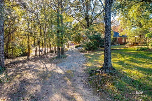 3340 Deer Track Dr, Semmes, AL 36575 - view of green lawn