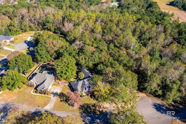 3340 Deer Track Dr, Semmes, AL 36575 - aerial overview of property's location with a heavily wooded area