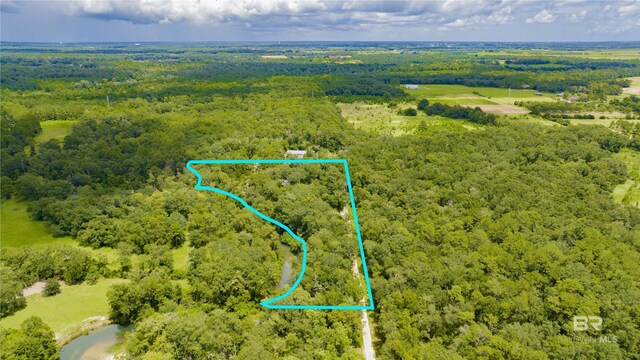 152077 Richards Ln, Magnolia Springs AL, 36555 land for sale