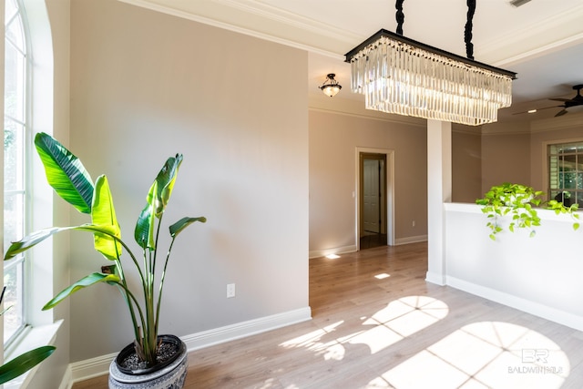 unfurnished dining area with crown molding, light hardwood / wood-style flooring, and ceiling fan