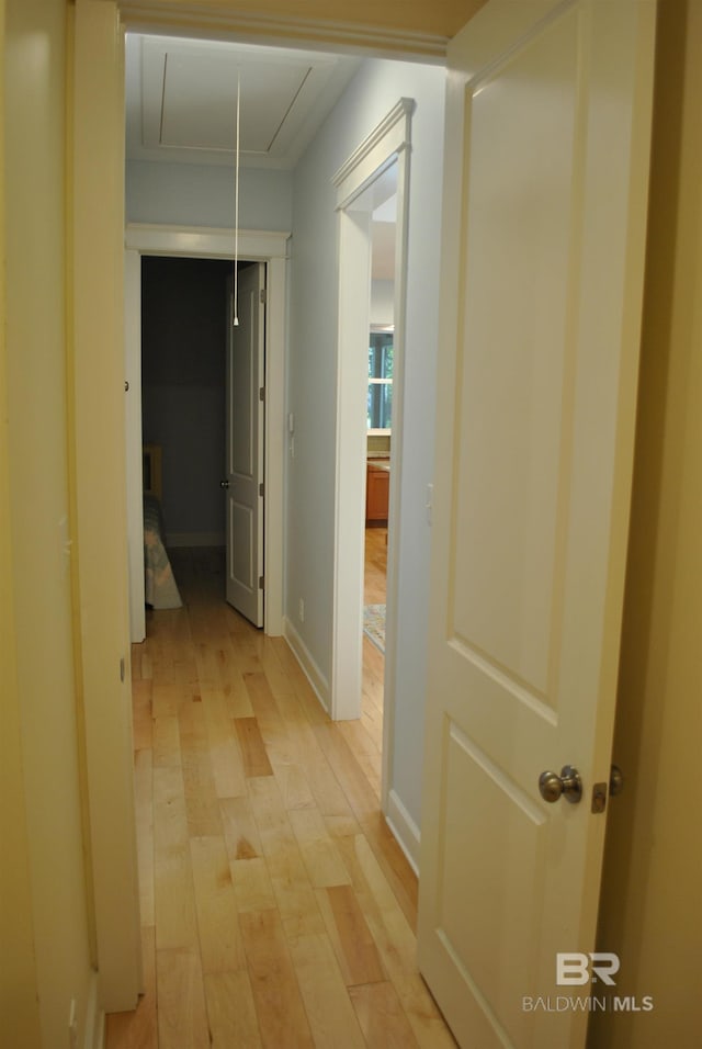 corridor with light hardwood / wood-style flooring