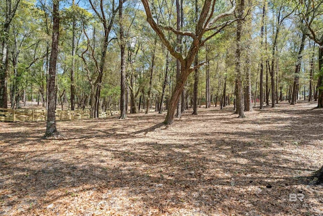 view of local wilderness featuring a forest view