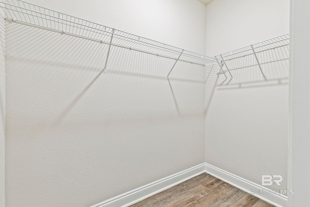 walk in closet featuring hardwood / wood-style flooring