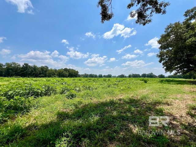 0 Wilmer Rd, Wilmer AL, 36587 land for sale