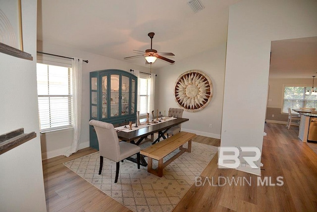 dining room with ceiling fan, a wealth of natural light, and light hardwood / wood-style floors