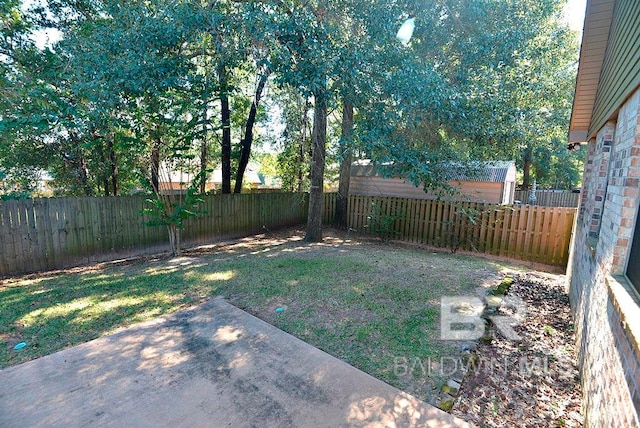 view of yard featuring a patio