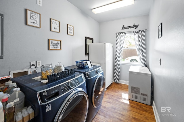 laundry area with washing machine and dryer and hardwood / wood-style floors