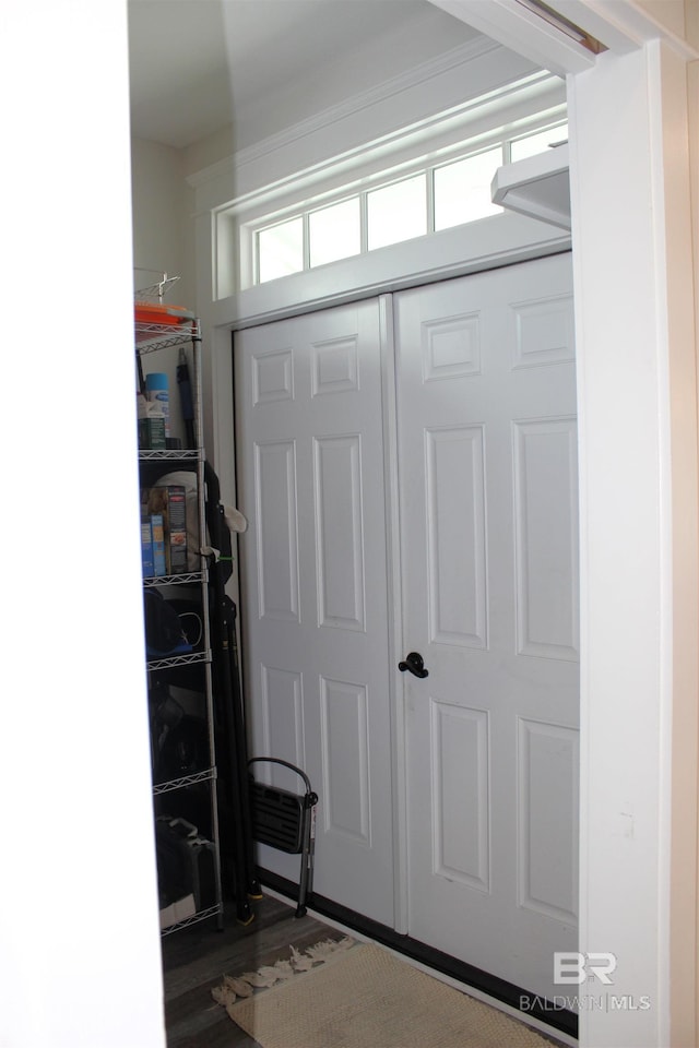 entryway with dark wood-style floors