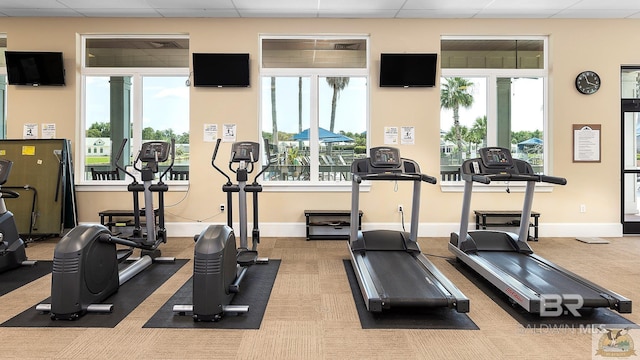exercise room featuring a paneled ceiling, baseboards, and carpet floors