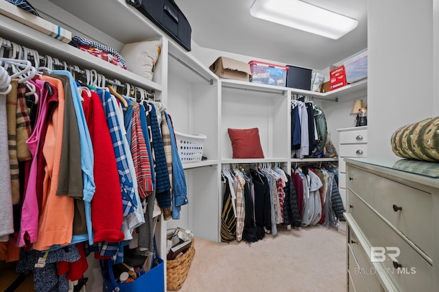 spacious closet featuring carpet