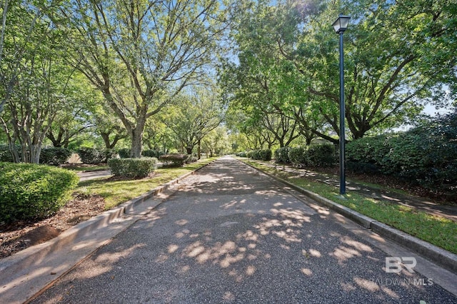 view of road featuring street lights and curbs