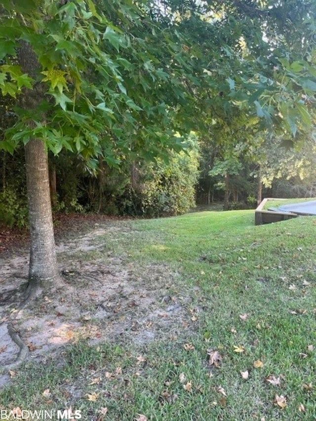 Listing photo 3 for 0 Bugle Retreat, Spanish Fort AL 36527