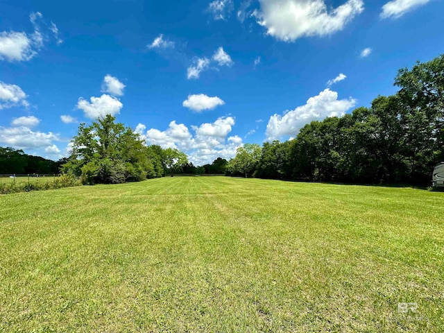 view of yard featuring a rural view