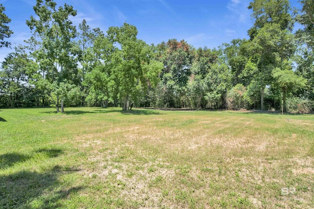 18657 County Road 12, Foley, AL 36535 - view of green lawn