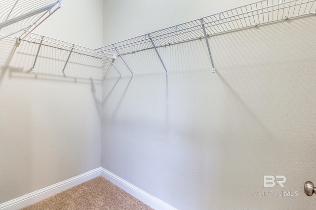 11547 Thistledown Loop, Spanish Fort, AL 36527 - walk in closet featuring carpet