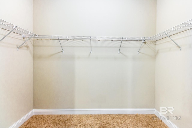 11547 Thistledown Loop, Spanish Fort, AL 36527 - spacious closet with carpet flooring