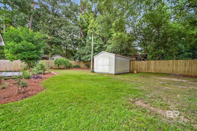 view of yard featuring a shed