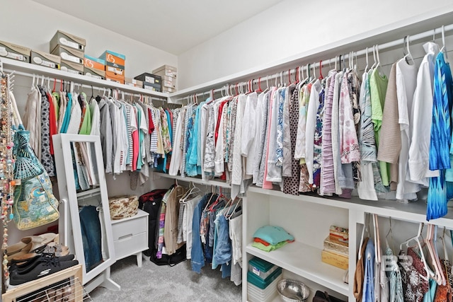 walk in closet featuring carpet floors