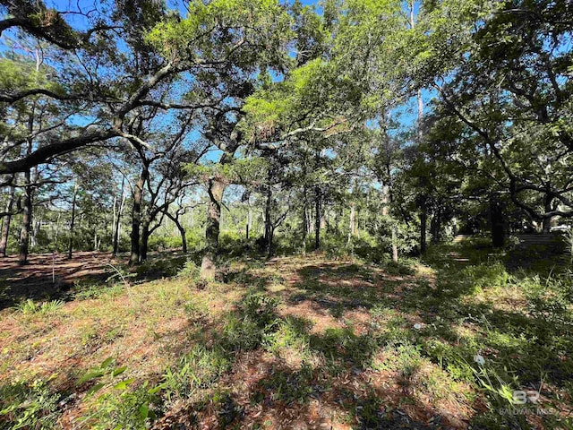 9545 N Bayou Rd, Lillian AL, 36549 land for sale