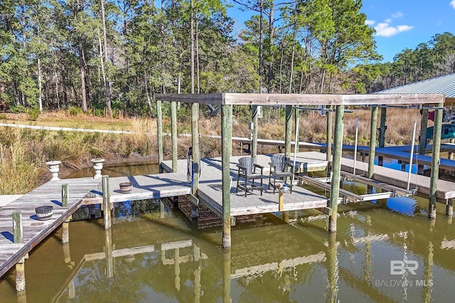 dock area featuring a water view