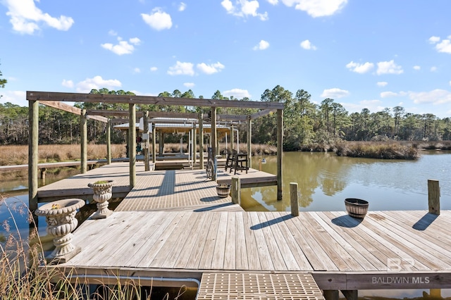 dock area featuring a water view