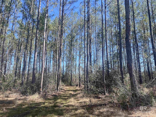 01 Robinsonville Rd, Atmore, AL 36502