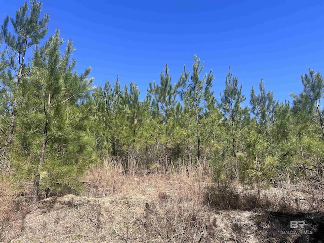 01 Robinsonville Rd, Atmore, AL 36502
