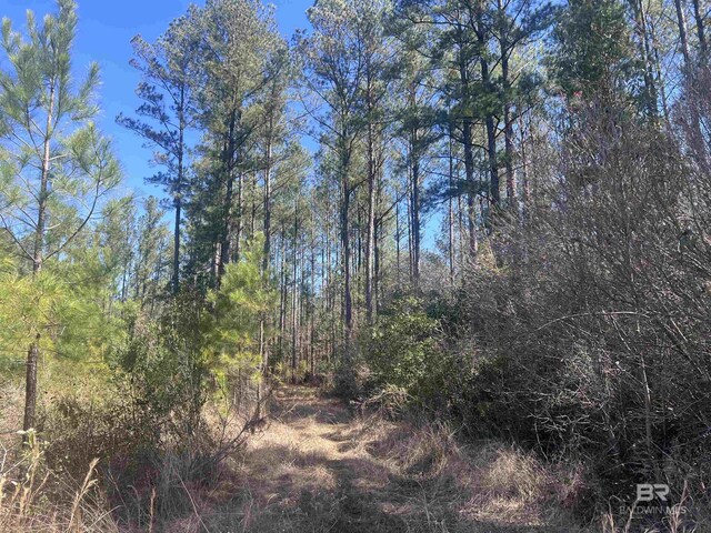 01 Robinsonville Rd, Atmore, AL 36502