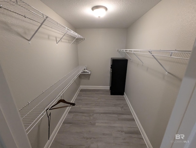 walk in closet featuring wood finished floors