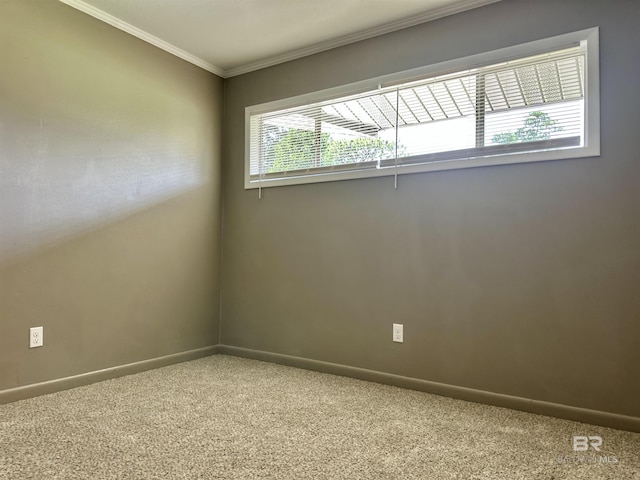 carpeted spare room with ornamental molding